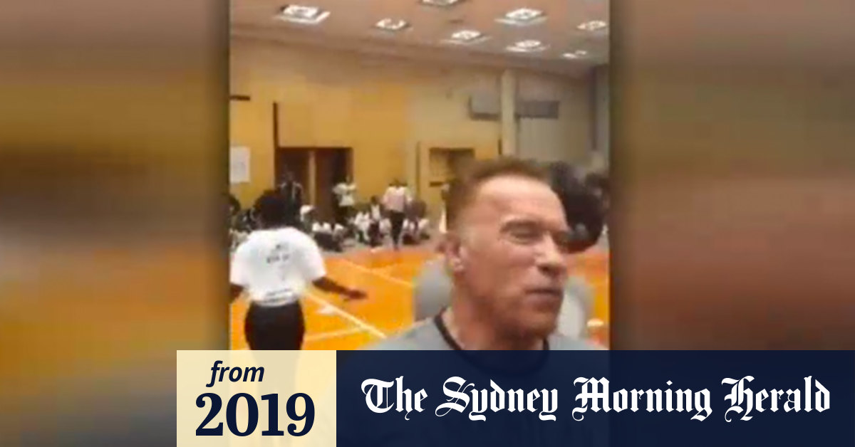 Video Schwarzenegger Attacked In South Africa 